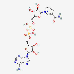 NAD+ Molecular Structure